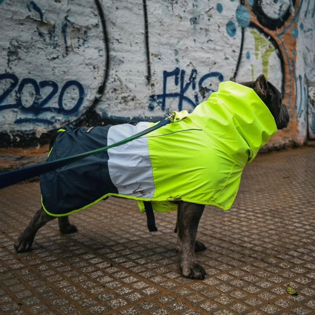 Dog Raincoat - Waterproof Rain Jacket w/Hood, Full Coverage