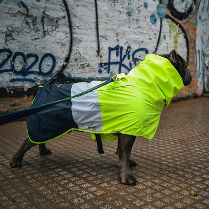 Dog Raincoat - Waterproof Rain Jacket w/Hood, Full Coverage