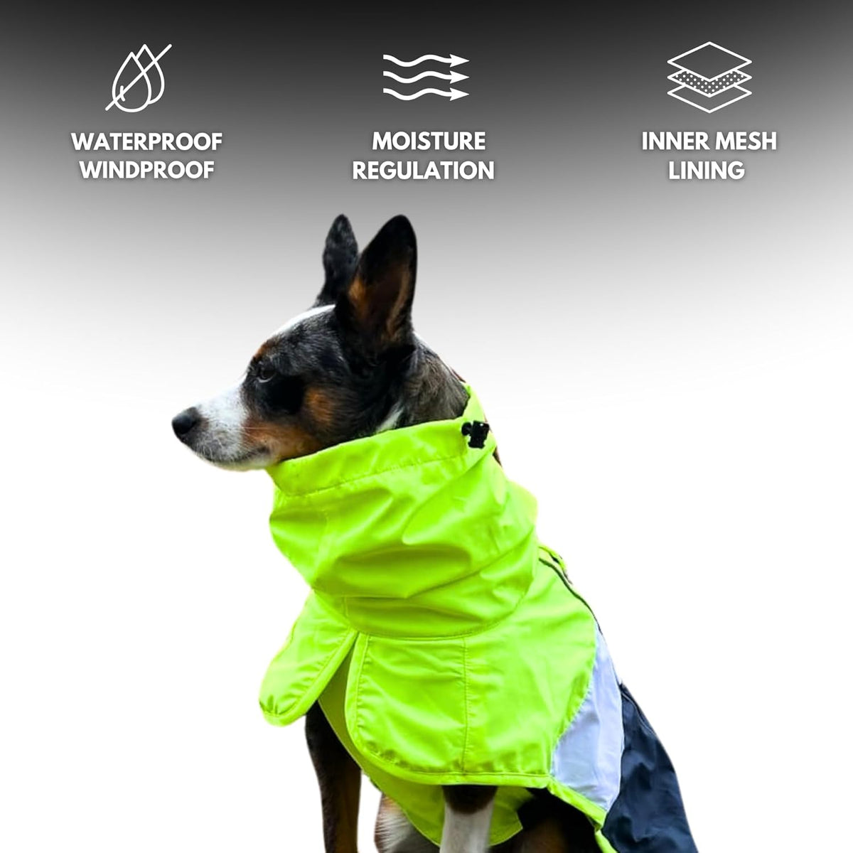 Dog Raincoat - Waterproof Rain Jacket w/Hood, Full Coverage