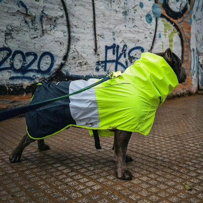 Dog Raincoat - Waterproof Rain Jacket w/Hood, Full Coverage