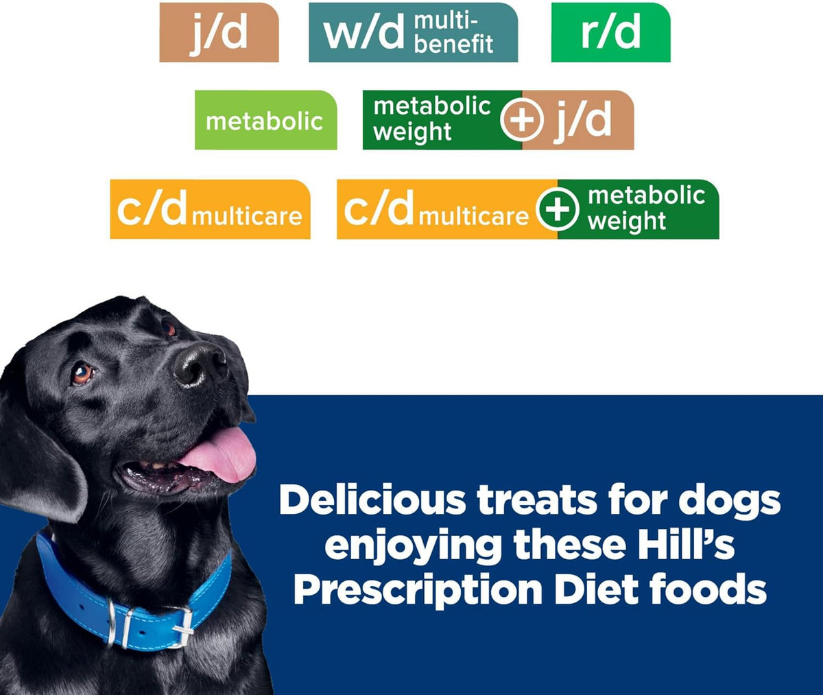 Hypoallergenic Crunchy Dog Treats