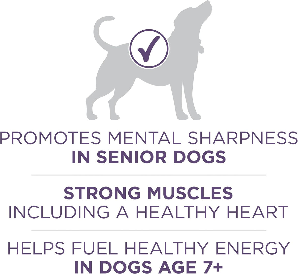 Plus Senior Dry Dog Food, Adult 7+, 8 lb Bag