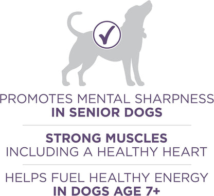 Plus Senior Dry Dog Food, Adult 7+, 8 lb Bag