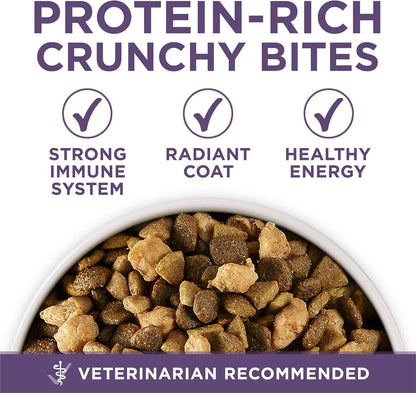 Plus Senior Dry Dog Food, Adult 7+, 8 lb Bag