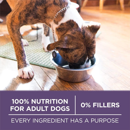 Plus Senior Dry Dog Food, Adult 7+, 8 lb Bag