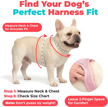 Voyager Step-in Air Dog Vest Harness - Moss Green, Medium | 16 - 18" in Chest, Reflective Bands, All Weather Breathable Air Mesh, Cats Compatible, Lightweight, Fast Drying - Colors A