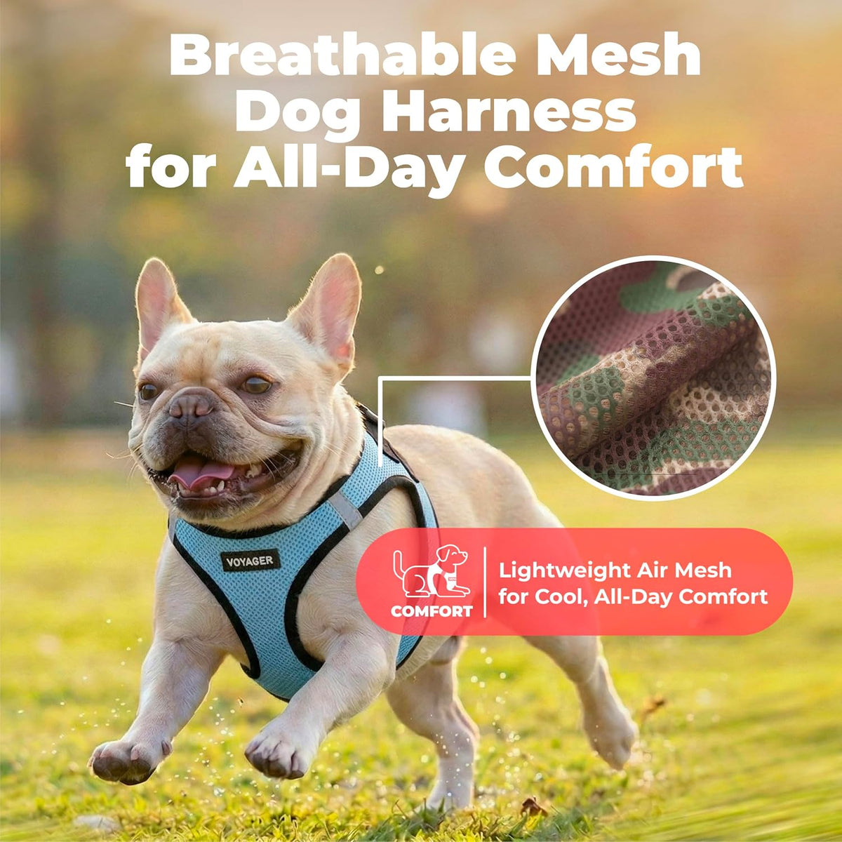 Voyager Step-in Air Dog Vest Harness - Moss Green, Medium | 16 - 18" in Chest, Reflective Bands, All Weather Breathable Air Mesh, Cats Compatible, Lightweight, Fast Drying - Colors A