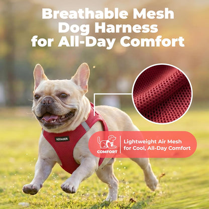 Voyager Step-in Air Dog Vest Harness - Moss Green, Medium | 16 - 18" in Chest, Reflective Bands, All Weather Breathable Air Mesh, Cats Compatible, Lightweight, Fast Drying - Colors A