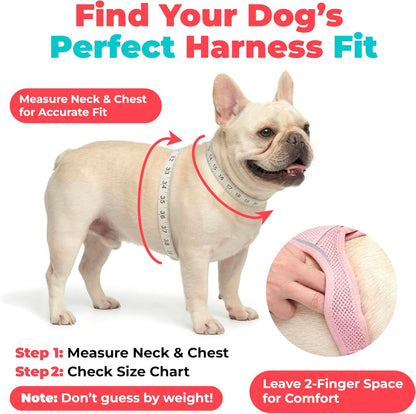 Voyager Step-in Air Dog Vest Harness - Moss Green, Medium | 16 - 18" in Chest, Reflective Bands, All Weather Breathable Air Mesh, Cats Compatible, Lightweight, Fast Drying - Colors A