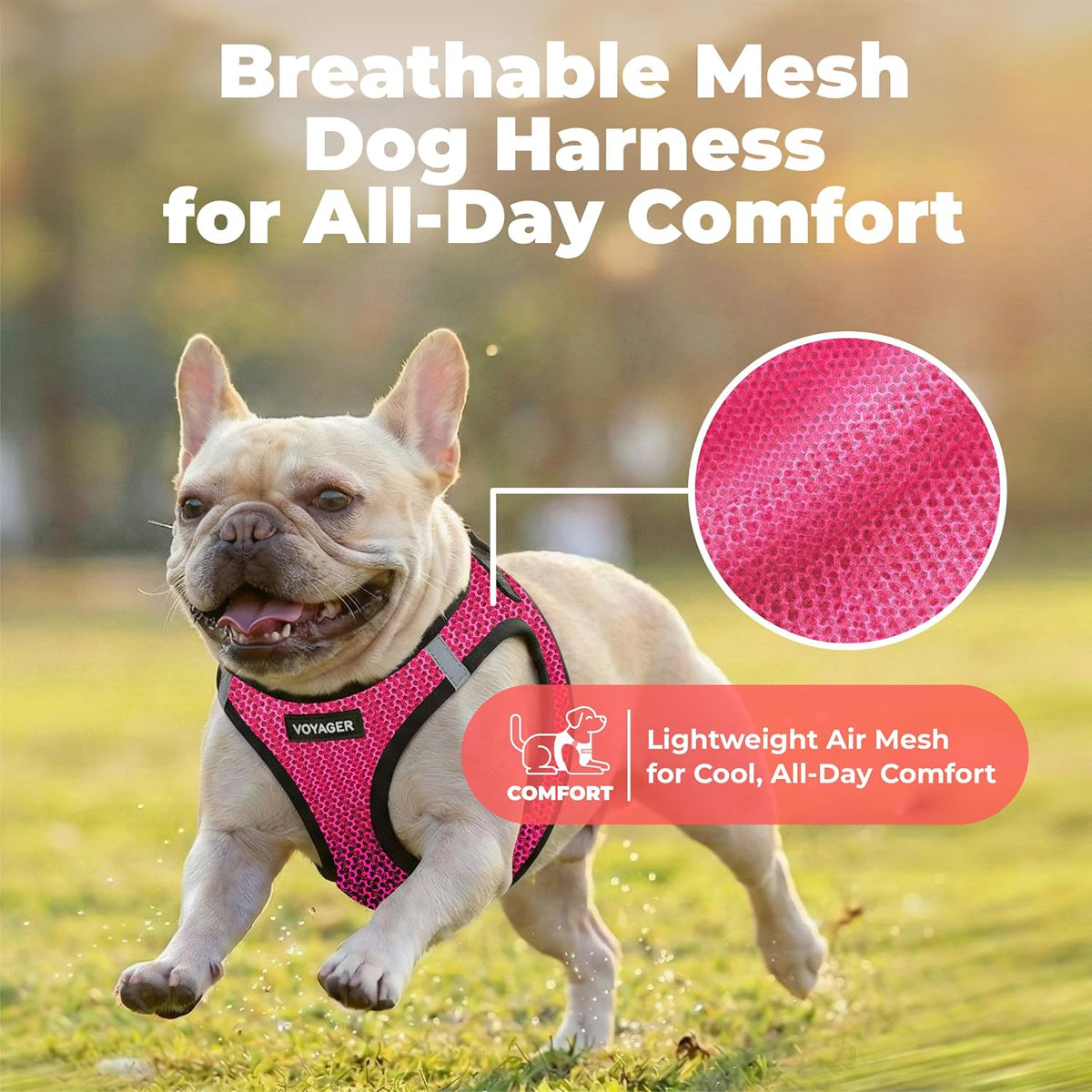 Voyager Step-in Air Dog Vest Harness - Moss Green, Medium | 16 - 18" in Chest, Reflective Bands, All Weather Breathable Air Mesh, Cats Compatible, Lightweight, Fast Drying - Colors A