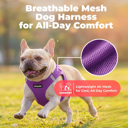 Voyager Step-in Air Dog Vest Harness - Moss Green, Medium | 16 - 18" in Chest, Reflective Bands, All Weather Breathable Air Mesh, Cats Compatible, Lightweight, Fast Drying - Colors A
