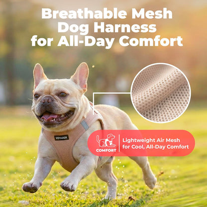 Voyager Step-in Air Dog Vest Harness - Moss Green, Medium | 16 - 18" in Chest, Reflective Bands, All Weather Breathable Air Mesh, Cats Compatible, Lightweight, Fast Drying - Colors A