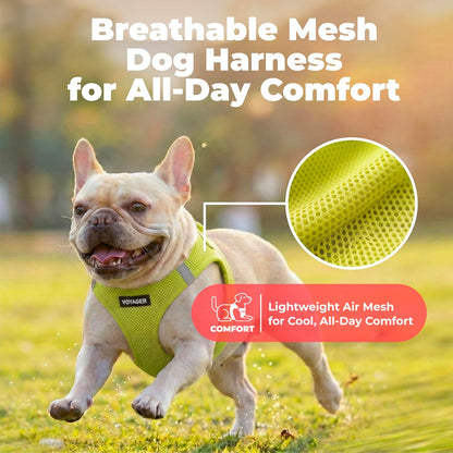 Voyager Step-in Air Dog Vest Harness - Moss Green, Medium | 16 - 18" in Chest, Reflective Bands, All Weather Breathable Air Mesh, Cats Compatible, Lightweight, Fast Drying - Colors A