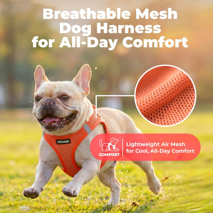 Voyager Step-in Air Dog Vest Harness - Moss Green, Medium | 16 - 18" in Chest, Reflective Bands, All Weather Breathable Air Mesh, Cats Compatible, Lightweight, Fast Drying - Colors A