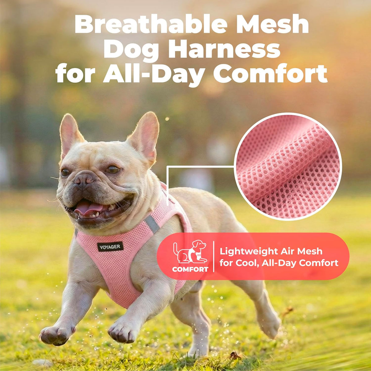Voyager Step-in Air Dog Vest Harness - Moss Green, Medium | 16 - 18" in Chest, Reflective Bands, All Weather Breathable Air Mesh, Cats Compatible, Lightweight, Fast Drying - Colors A