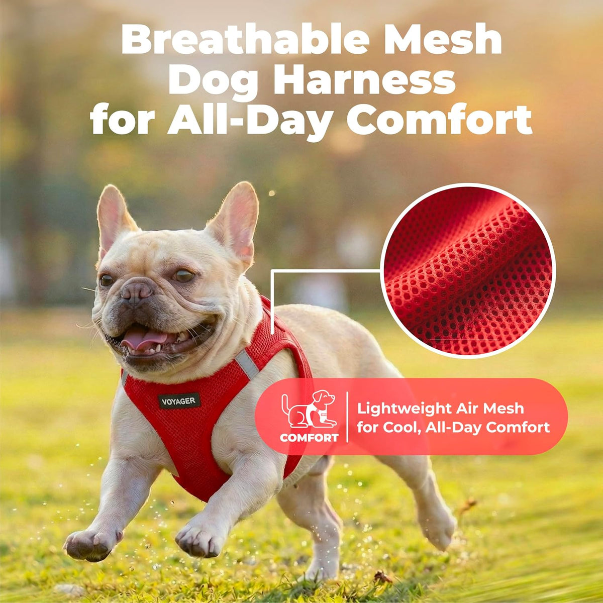 Voyager Step-in Air Dog Vest Harness - Moss Green, Medium | 16 - 18" in Chest, Reflective Bands, All Weather Breathable Air Mesh, Cats Compatible, Lightweight, Fast Drying - Colors A