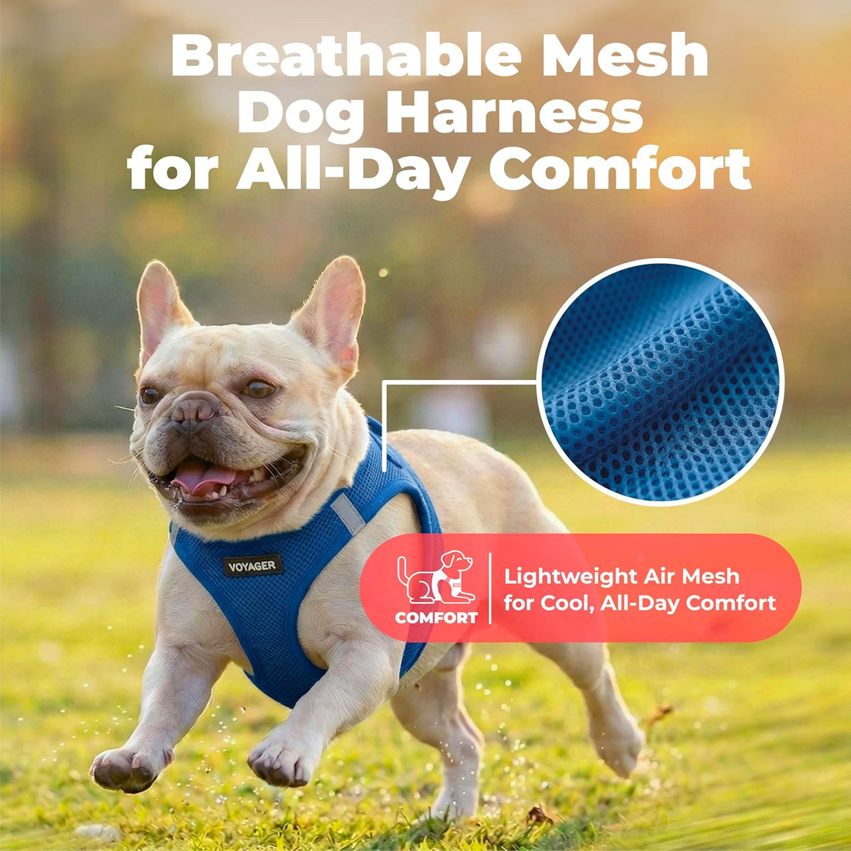 Voyager Step-in Air Dog Vest Harness - Moss Green, Medium | 16 - 18" in Chest, Reflective Bands, All Weather Breathable Air Mesh, Cats Compatible, Lightweight, Fast Drying - Colors A