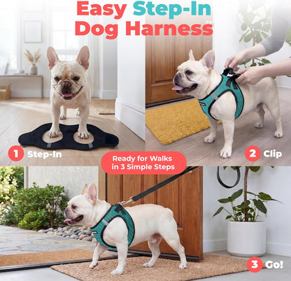 Voyager Step-in Air Dog Vest Harness - Moss Green, Medium | 16 - 18" in Chest, Reflective Bands, All Weather Breathable Air Mesh, Cats Compatible, Lightweight, Fast Drying - Colors A
