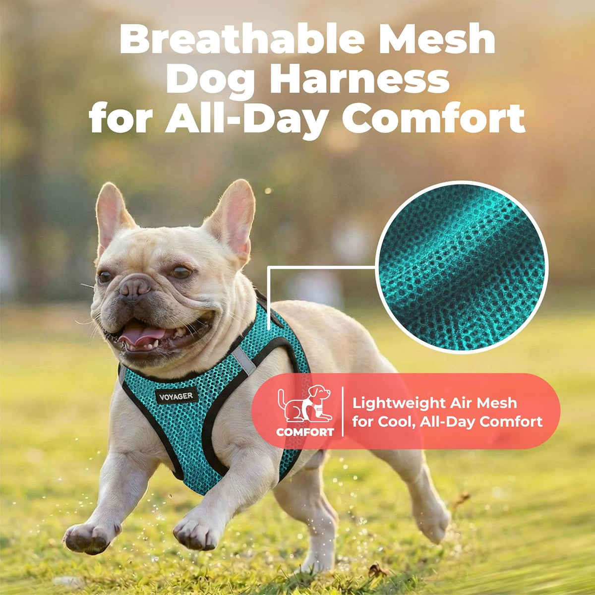 Voyager Step-in Air Dog Vest Harness - Moss Green, Medium | 16 - 18" in Chest, Reflective Bands, All Weather Breathable Air Mesh, Cats Compatible, Lightweight, Fast Drying - Colors A