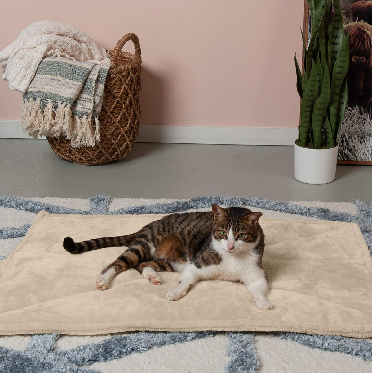 ThermaNAP Self Warming Cat Mat, Dog Bed for Crates with Self-Warming Technology for Cozy Rest, Fully Machine Washable, Small, Plush Faux Fur, Gray