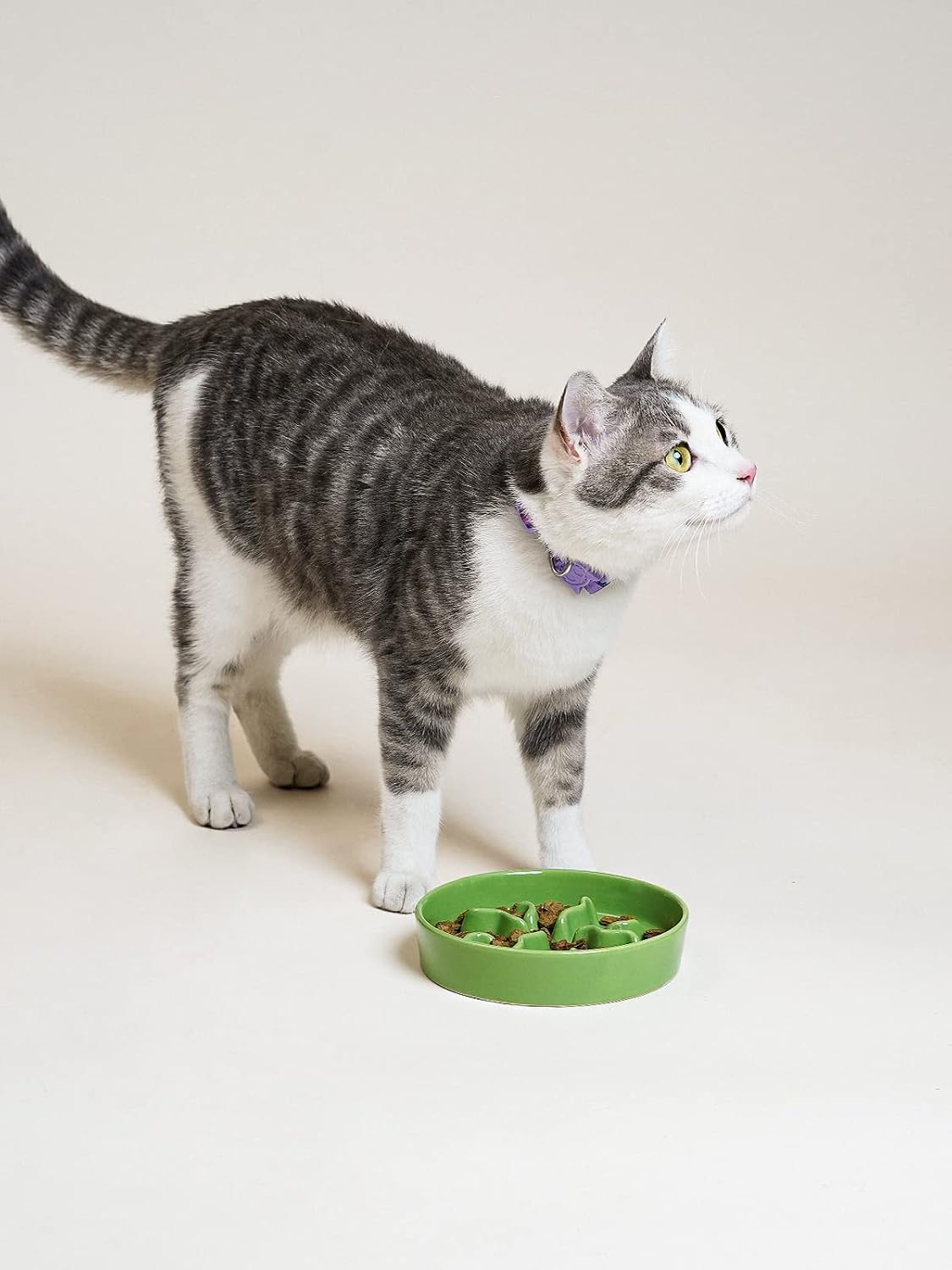Ceramic Slow Feeder Dog Bowls Small Breed, 0.5 Cups Dog Food Dish for Fast Eaters, Puzzle Bowl for Small Dogs and Cats, 5.5 Inch-Blue