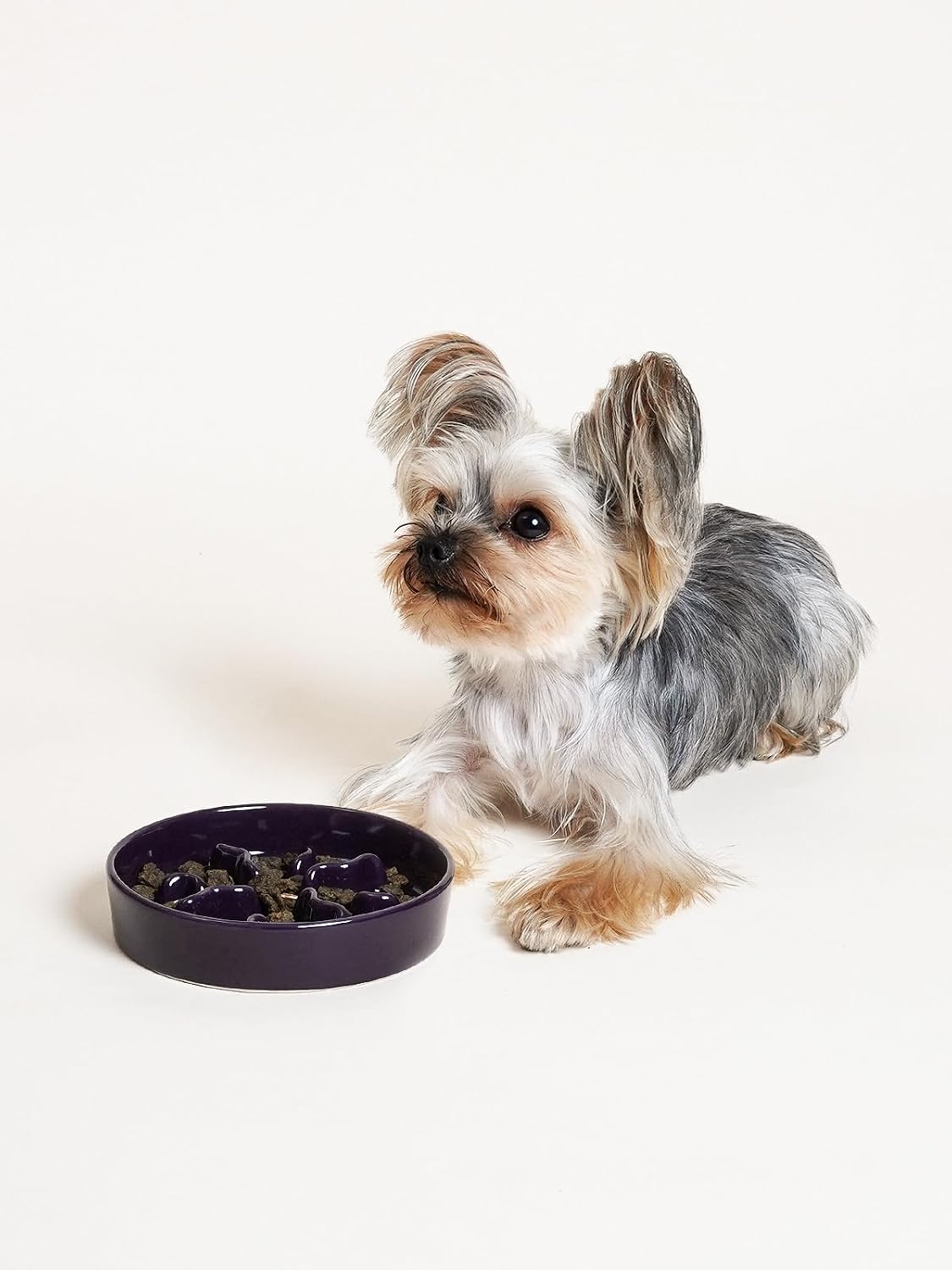 Ceramic Slow Feeder Dog Bowls Small Breed, 0.5 Cups Dog Food Dish for Fast Eaters, Puzzle Bowl for Small Dogs and Cats, 5.5 Inch-Blue