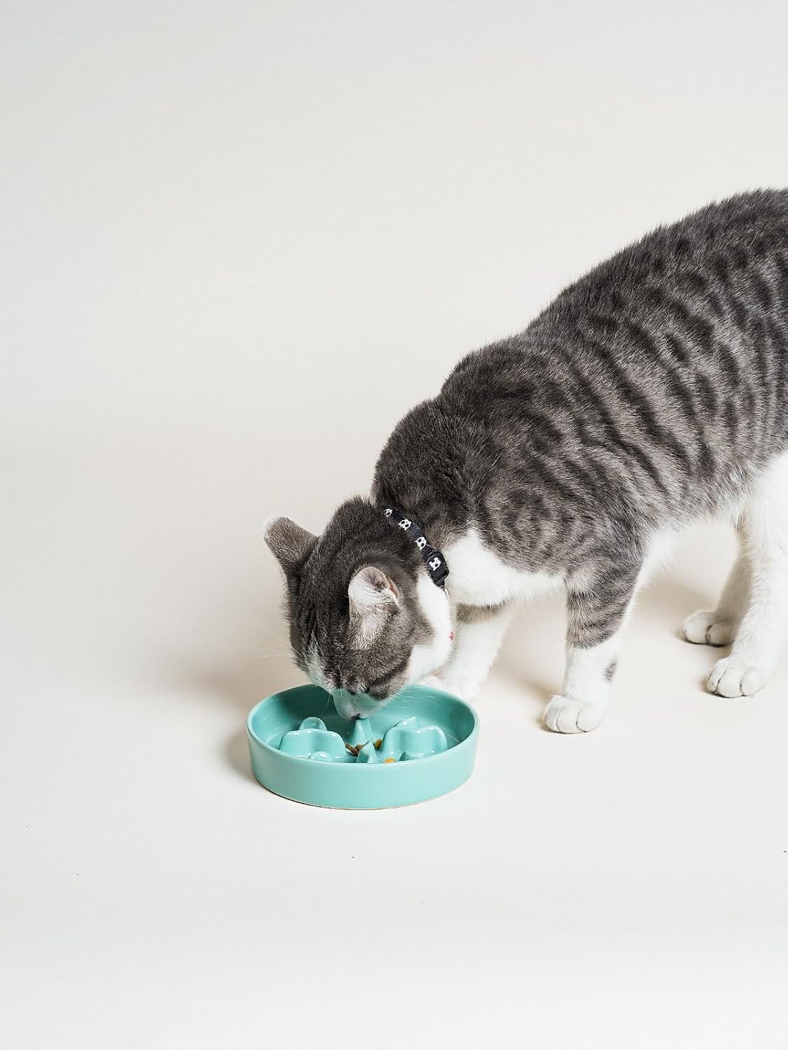 Ceramic Slow Feeder Dog Bowls Small Breed, 0.5 Cups Dog Food Dish for Fast Eaters, Puzzle Bowl for Small Dogs and Cats, 5.5 Inch-Blue