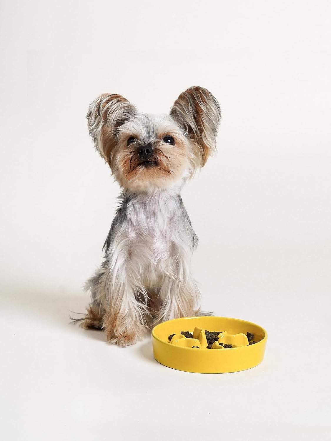 Ceramic Slow Feeder Dog Bowls Small Breed, 0.5 Cups Dog Food Dish for Fast Eaters, Puzzle Bowl for Small Dogs and Cats, 5.5 Inch-Blue