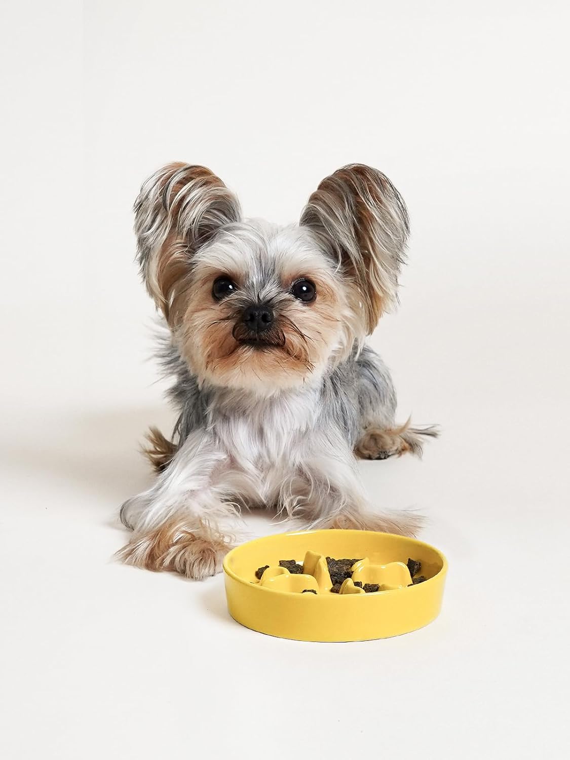 Ceramic Slow Feeder Dog Bowls Small Breed, 0.5 Cups Dog Food Dish for Fast Eaters, Puzzle Bowl for Small Dogs and Cats, 5.5 Inch-Blue