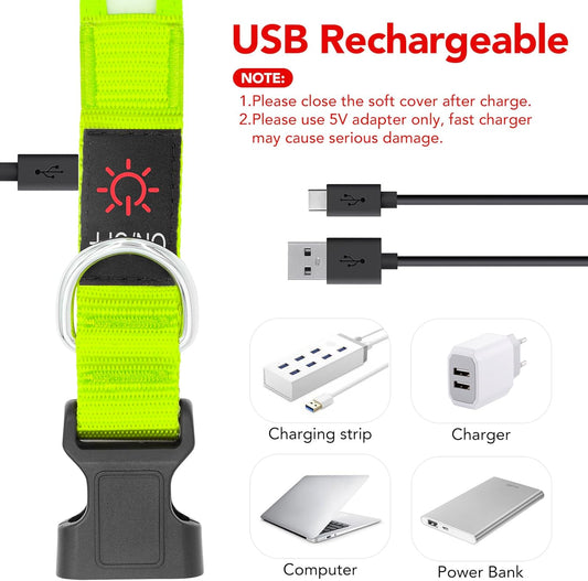 LED Dog Collar, Light up Dog Collar Adjustable Safety Glowing Collar