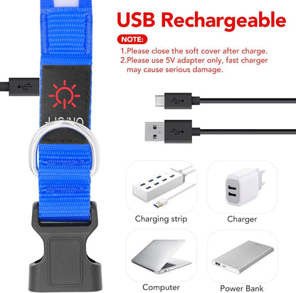 LED Dog Collar, Light up Dog Collar Adjustable Safety Glowing Collar