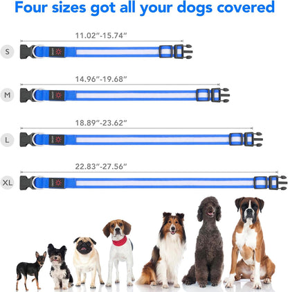 LED Dog Collar, Light up Dog Collar Adjustable Safety Glowing Collar