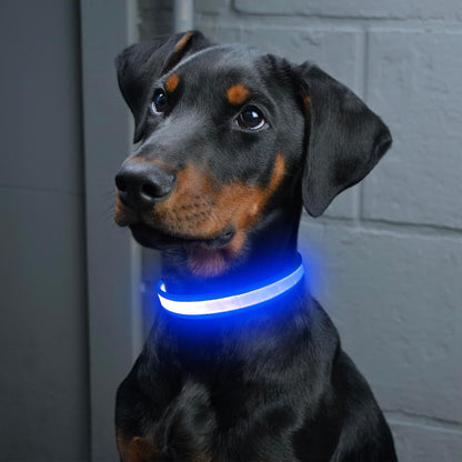 LED Dog Collar, Light up Dog Collar Adjustable Safety Glowing Collar
