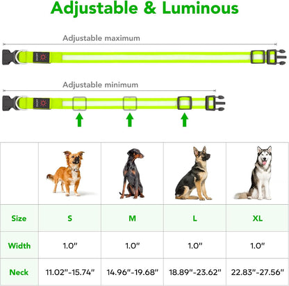 LED Dog Collar, Light up Dog Collar Adjustable Safety Glowing Collar