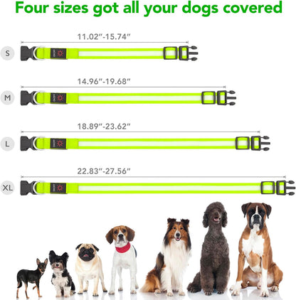 LED Dog Collar, Light up Dog Collar Adjustable Safety Glowing Collar