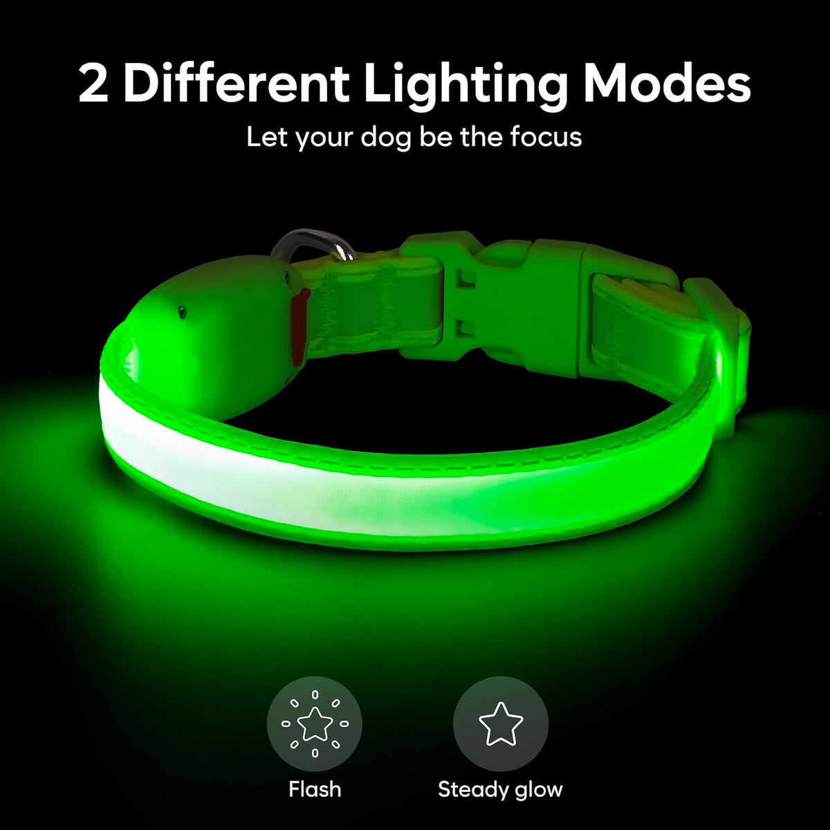 LED Dog Collar, Light up Dog Collar Adjustable Safety Glowing Collar