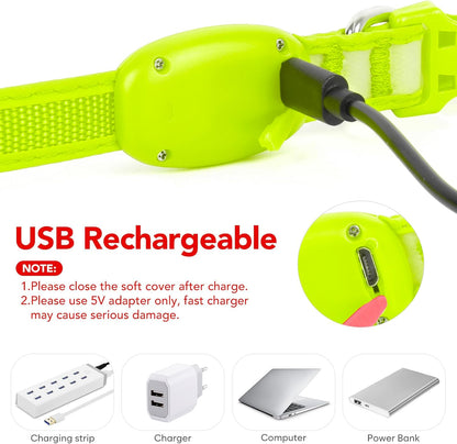 LED Dog Collar, Light up Dog Collar Adjustable Safety Glowing Collar