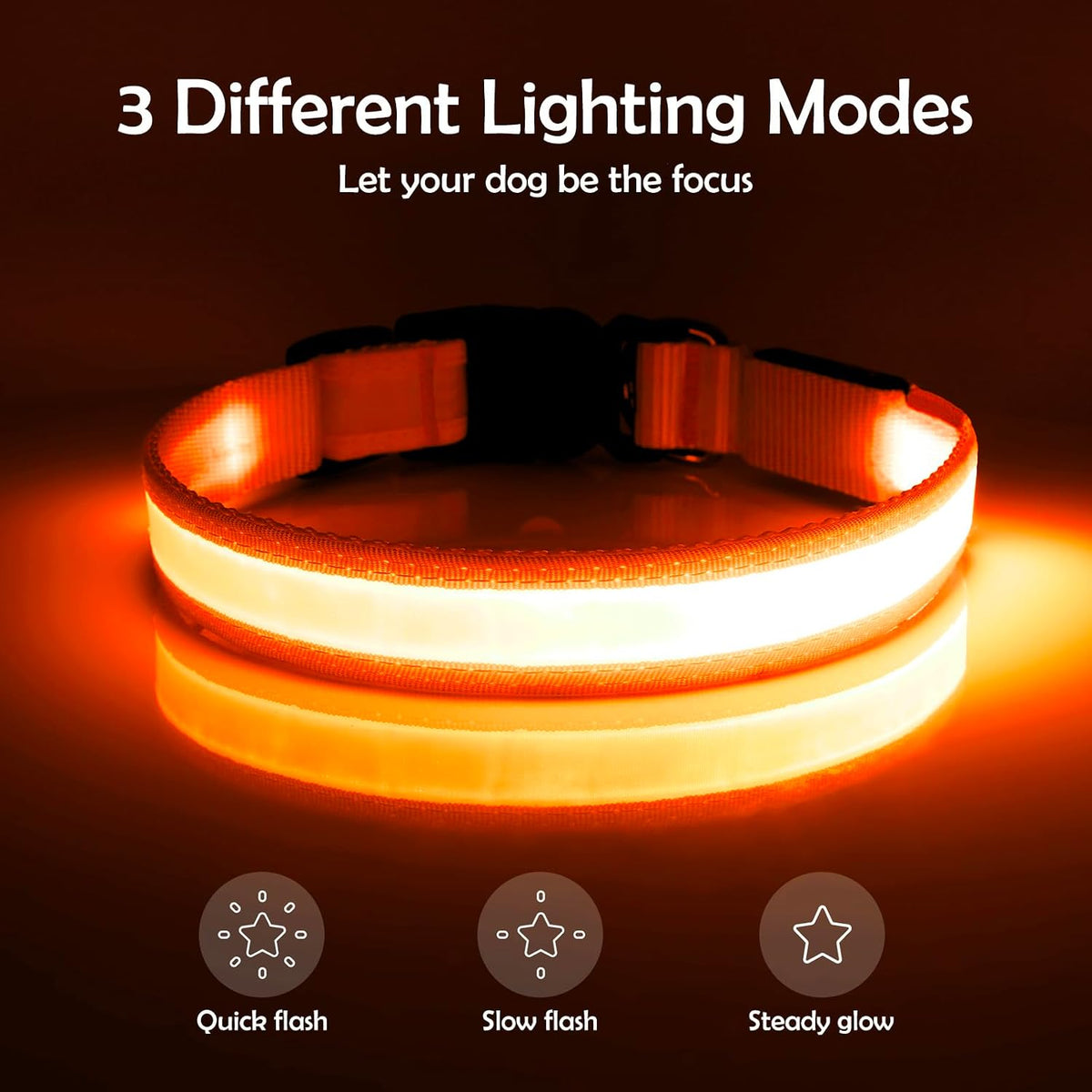 LED Dog Collar, Light up Dog Collar Adjustable Safety Glowing Collar