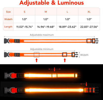 LED Dog Collar, Light up Dog Collar Adjustable Safety Glowing Collar