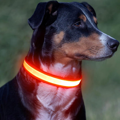 LED Dog Collar, Light up Dog Collar Adjustable Safety Glowing Collar