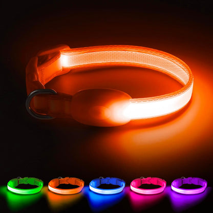 LED Dog Collar, Light up Dog Collar Adjustable Safety Glowing Collar
