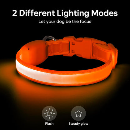 LED Dog Collar, Light up Dog Collar Adjustable Safety Glowing Collar