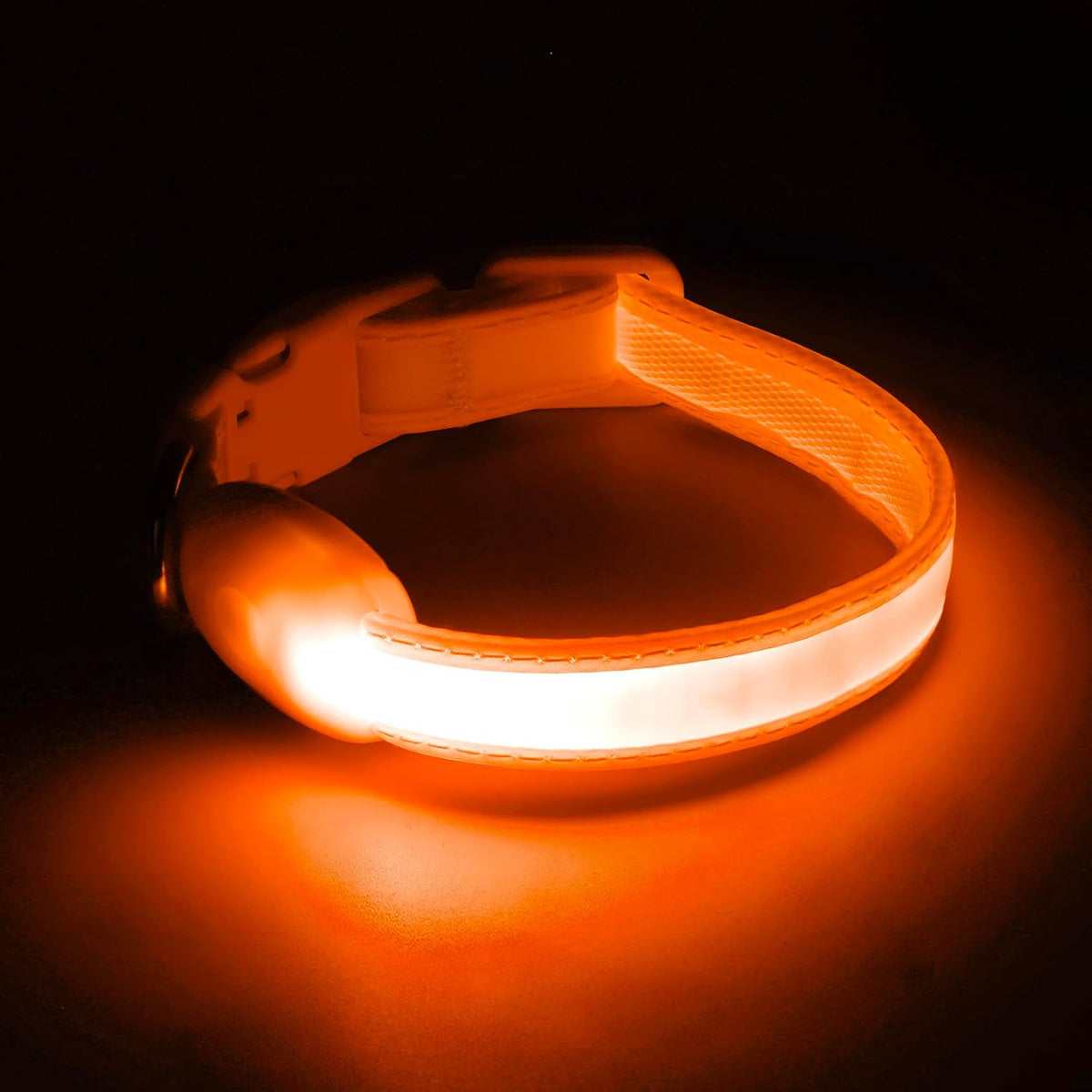 LED Dog Collar, Light up Dog Collar Adjustable Safety Glowing Collar