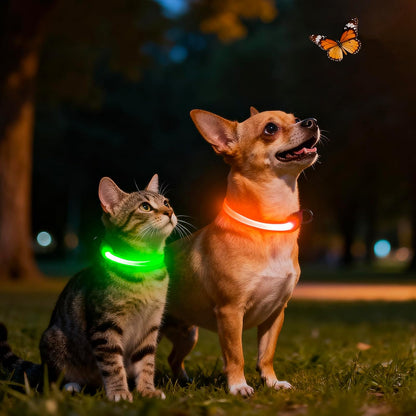 LED Dog Collar, Light up Dog Collar Adjustable Safety Glowing Collar