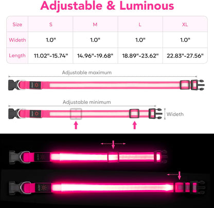 LED Dog Collar, Light up Dog Collar Adjustable Safety Glowing Collar