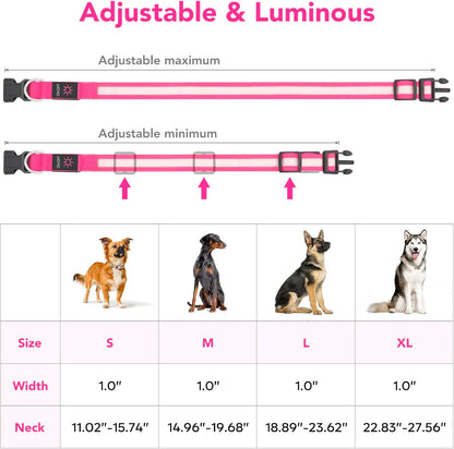 LED Dog Collar, Light up Dog Collar Adjustable Safety Glowing Collar
