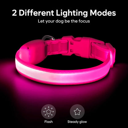 LED Dog Collar, Light up Dog Collar Adjustable Safety Glowing Collar