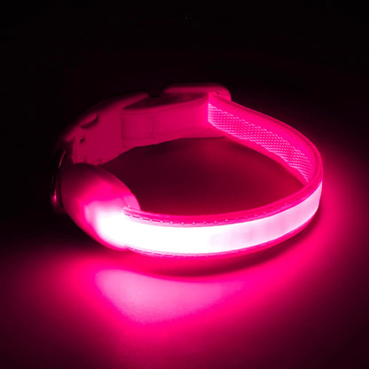 LED Dog Collar, Light up Dog Collar Adjustable Safety Glowing Collar
