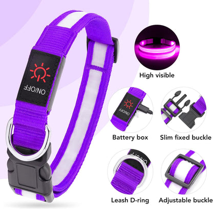 LED Dog Collar, Light up Dog Collar Adjustable Safety Glowing Collar