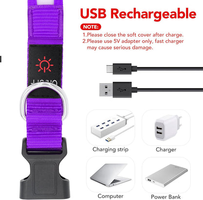 LED Dog Collar, Light up Dog Collar Adjustable Safety Glowing Collar